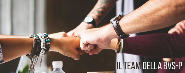 Banner sezione Il team della BVS-P