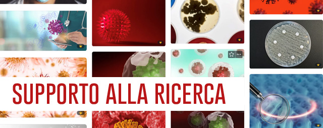Banner sezione Supporto alla Ricerca