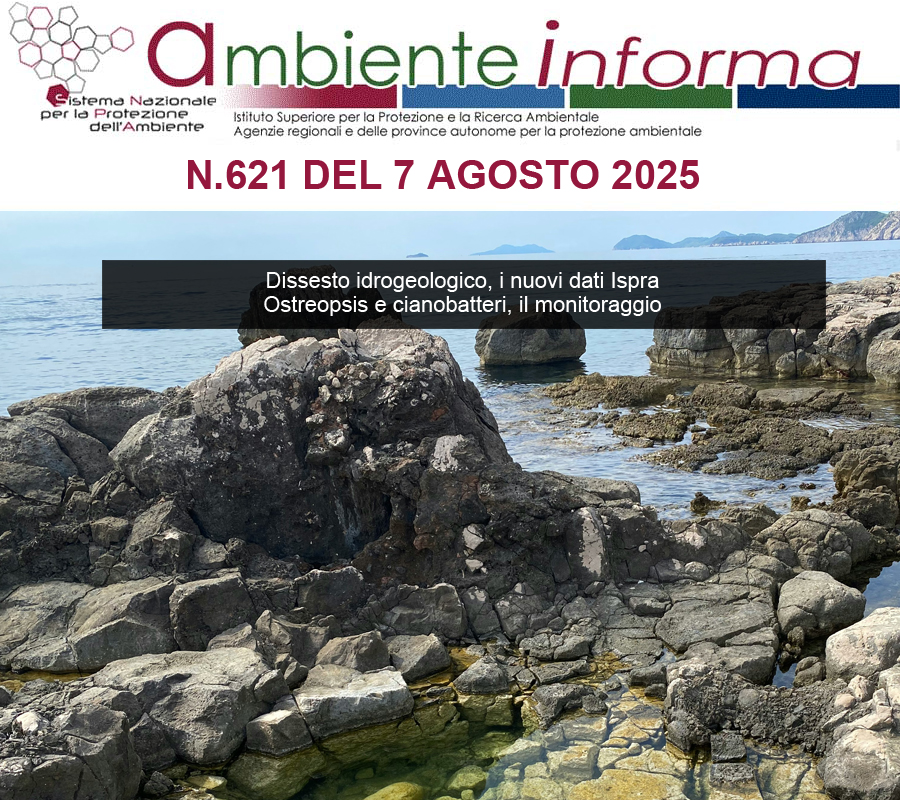 newsletterARPAfeb25