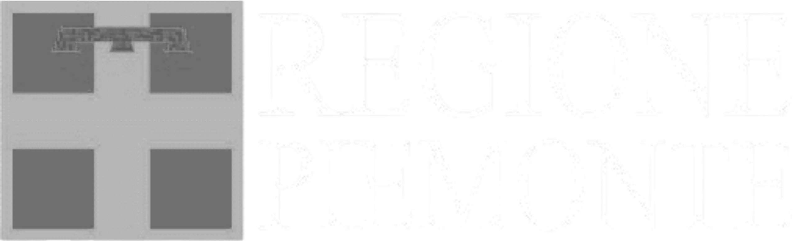 Regione Piemonte